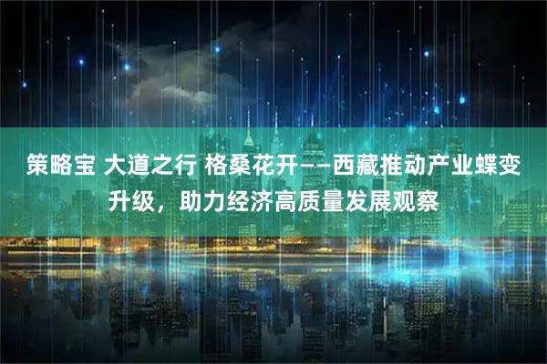 策略宝 大道之行 格桑花开——西藏推动产业蝶变升级，助力经济高质量发展观察