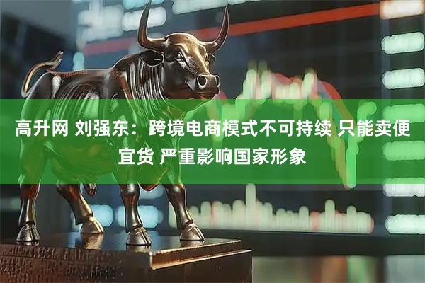 高升网 刘强东：跨境电商模式不可持续 只能卖便宜货 严重影响国家形象